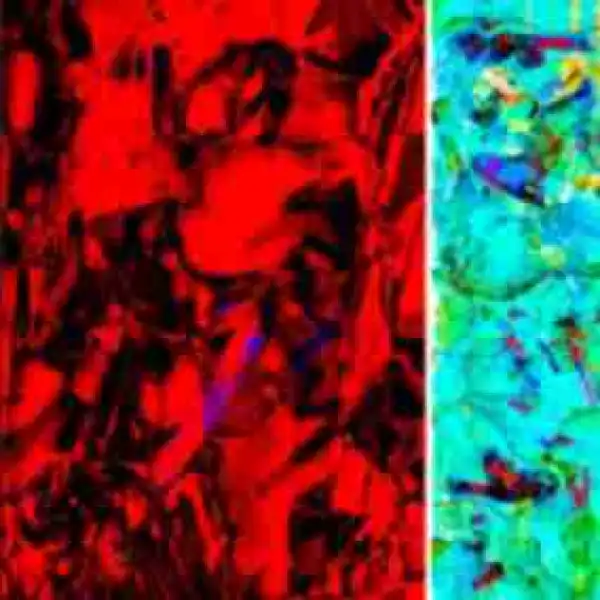 Trippie Redd - Bust Down